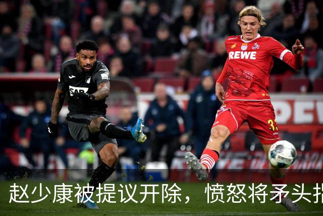 赵少康被提议开除，愤怒将矛头指向大陆